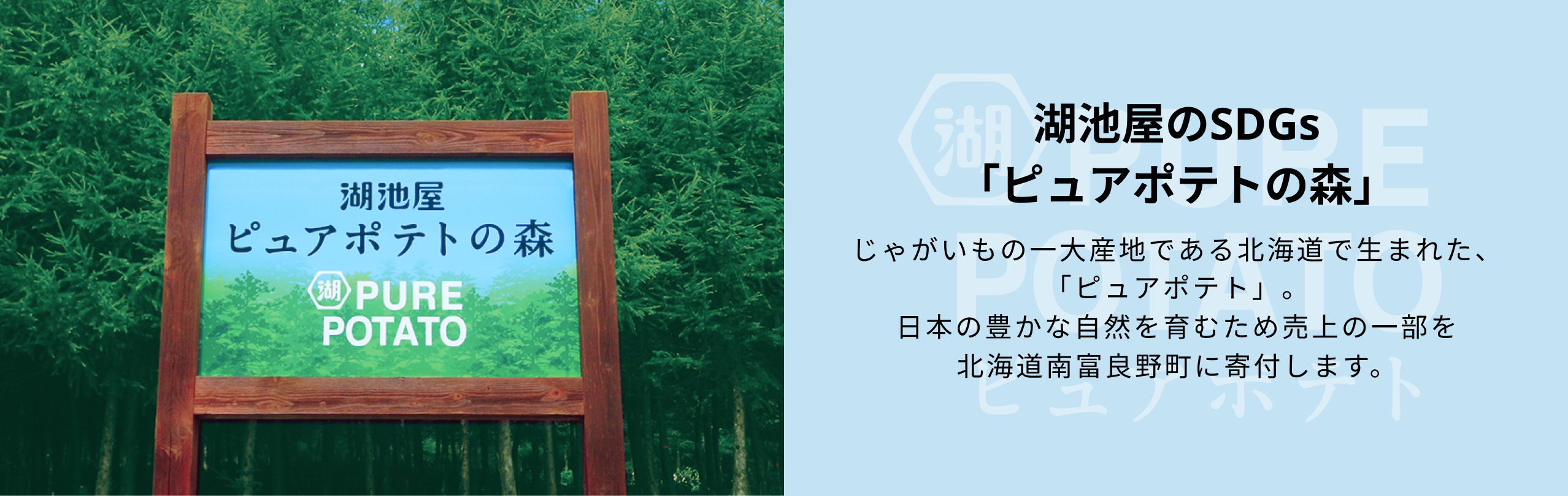 koikeya